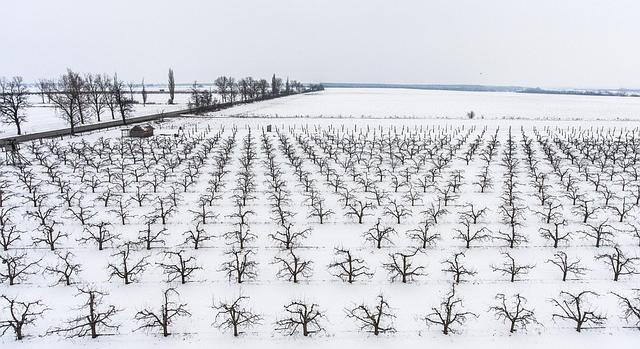 Agrometeorológia: mezőgazdasági szempontból kedvező a téli időjárás