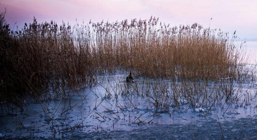 Hummernél is extrémebb jármű bukkant fel a Balatonon, fontos bejelentést tettek