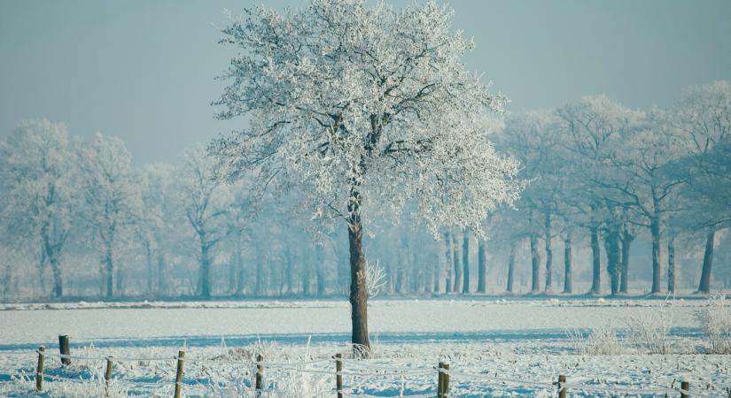 Időjárás 2026. január 23.: Enyhül a hőmérséklet és többfelé napsütés is várható