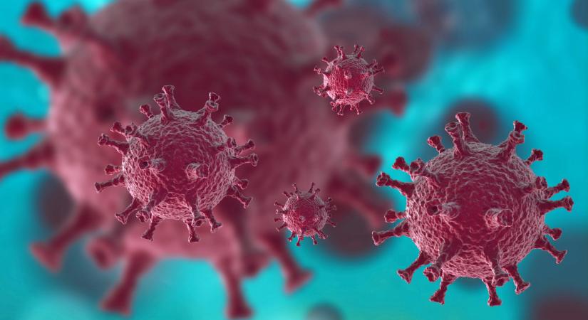 Akár tanítási szünet is elrendelhető – nagyon sokan szenvednek most légúti betegségekben