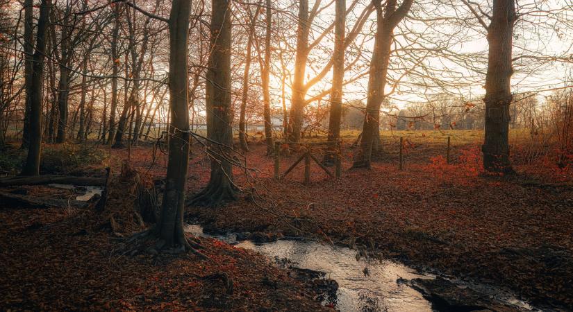 Óriási fordulat az időjárásban - Vasárnap akár 10 fok is lehet
