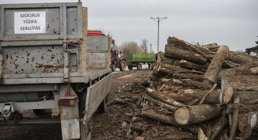 Az állami tűzifából alig jutott el az érintettekhez, ezzel szemben az önkormányzatok össztűz alá kerültek