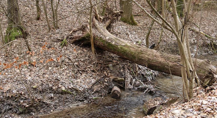 Enyhít szorításán a fagy, de ónos eső jöhet a hétvégén