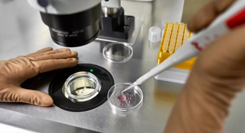 Lombikbébi program után: amikor meglátta a babát, azonnal DNS-tesztet követelt