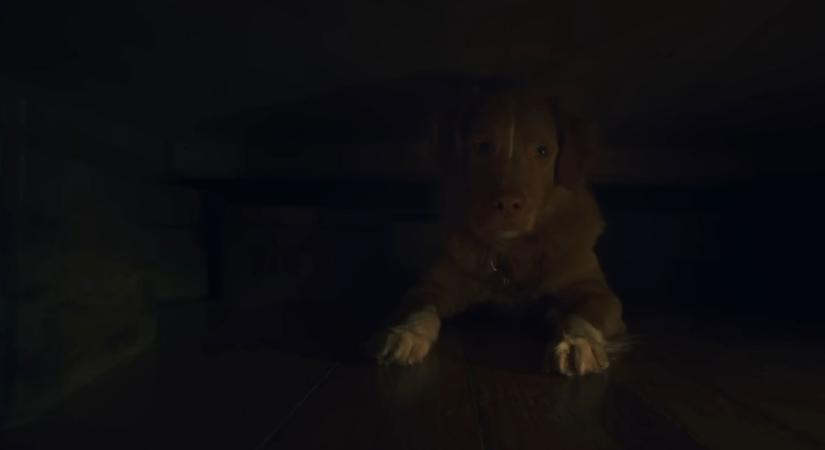 Ebben a hideglelős filmben nem fogod elhinni a főszereplőt, szenzációs tehetséggel veri kenterbe a természetfeletti filmek hangulatát