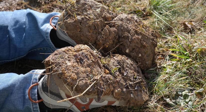 Miért válik a kertész cipője légtalpassá – és mit árul el a kerted talajáról?