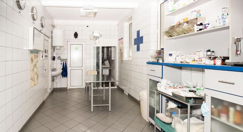 Mindennek vége? Árulják az épületet, végleg eldőlt az ismert egri rendelő sorsa