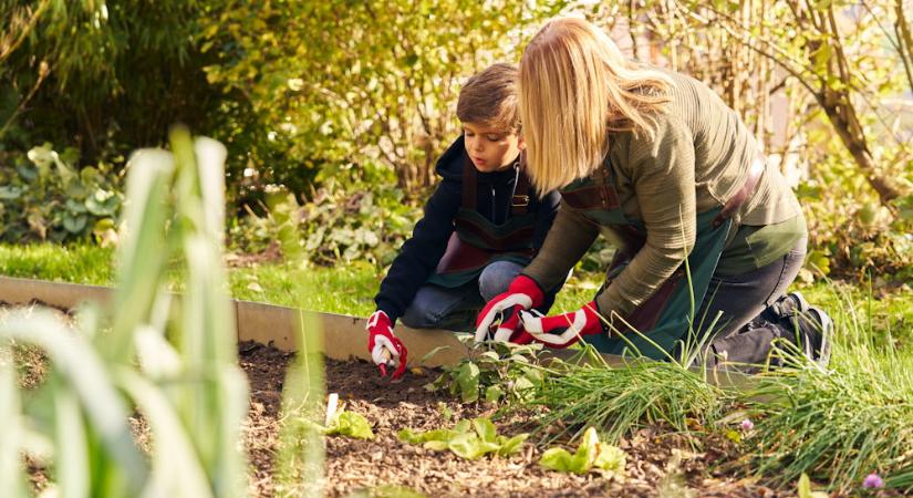 FELCO KIDS – ahol a kertészet élménnyé válik a gyerekeknek
