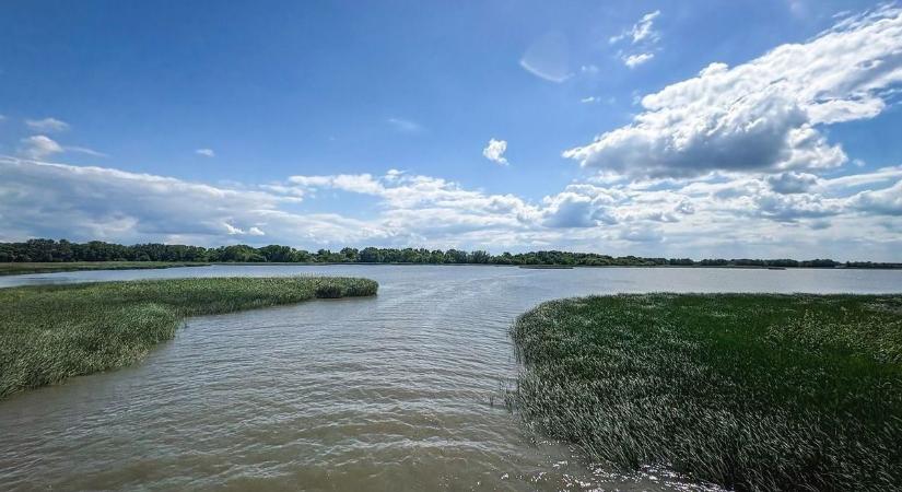 Fotókon a Tiszából előkerült őslény, térden állva könyörögne érte a Jurassic Park