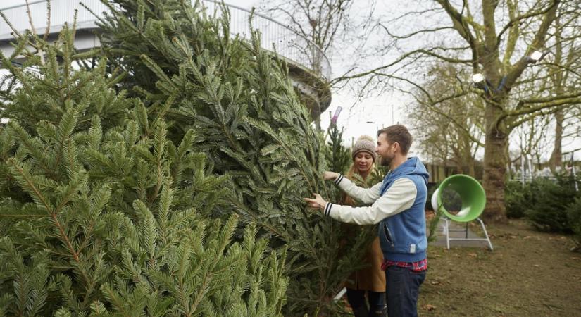 Adventi ellenőrzések: tízből egy vállalkozás hibázott