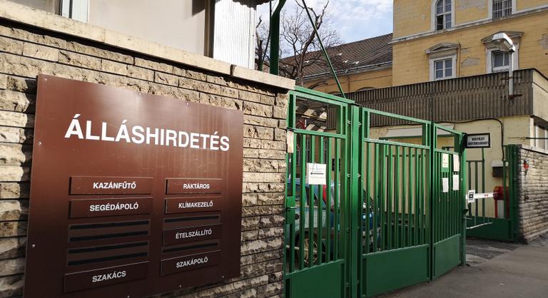 NGM: Történelmi mélyponton van a regisztrált álláskeresők száma