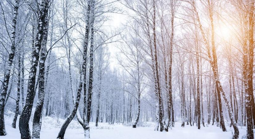 Két hete nyoma veszett egy férfinak és kutyájának – az autó már megvan