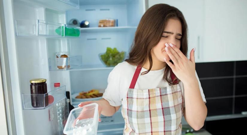 Büdös a hűtőd? Ne pánikolj – filléres megoldás van rá