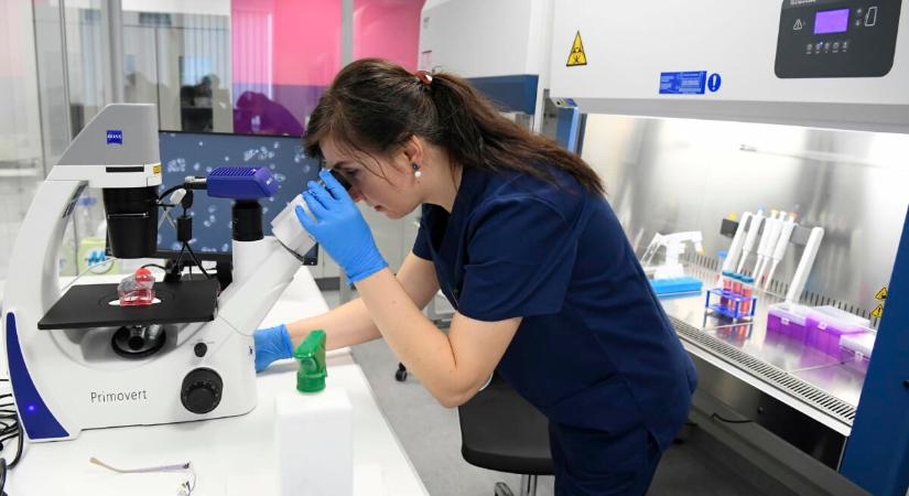 Már a bőrünk alatt is pénz van: kimutatta a KSH, mennyit kerestek a magyarok novemberben