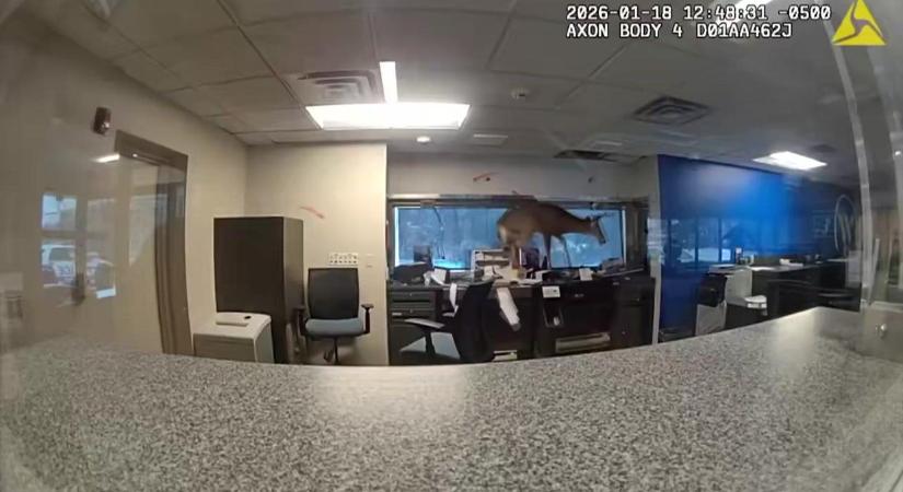 Szólt a riasztó, hogy a betörtek a bankba, a Long Island-i rendőrök nagyon meglepődtek a helyszínre érve