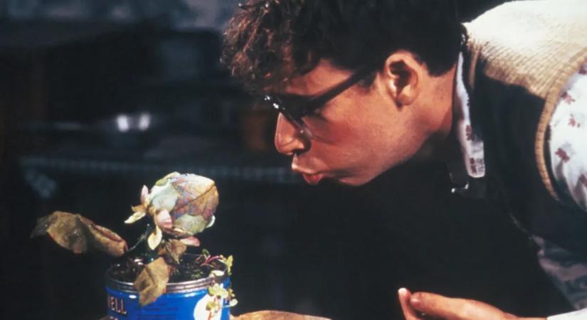 Telex Diszpó január 23-tól január 30-ig