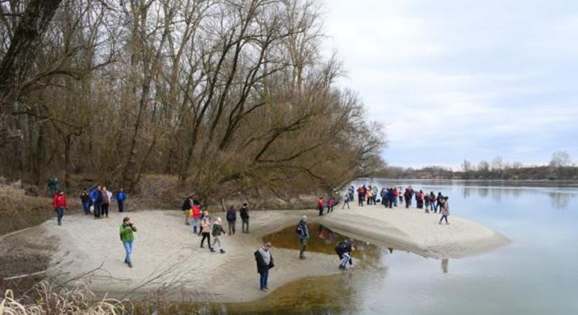 Jön a vizes élőhelyek világnapja, fókuszban a Duna és a Dráva élővilágával