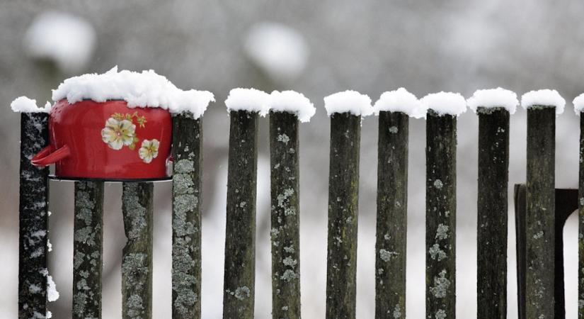 Régen mit csináltak télen a kertészek? – Amikor a kert nem termelt, hanem tanított