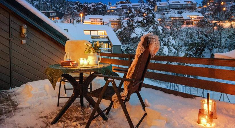 Ezek a növények a telet is kibírják az erkélyen