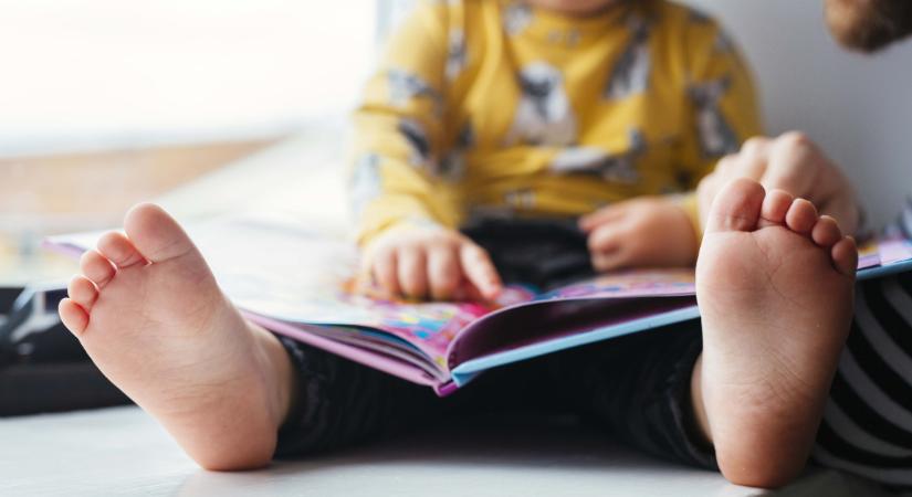 A legjobb böngészőkönyvek a bölcsisektől kezdve egészen az iskolás korosztályig