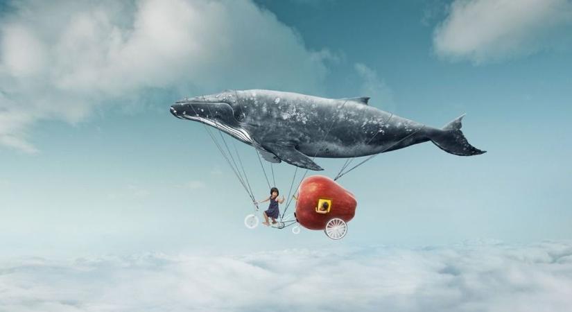 Így üzen az agyunk - amit megélünk, álmunkban visszaköszön