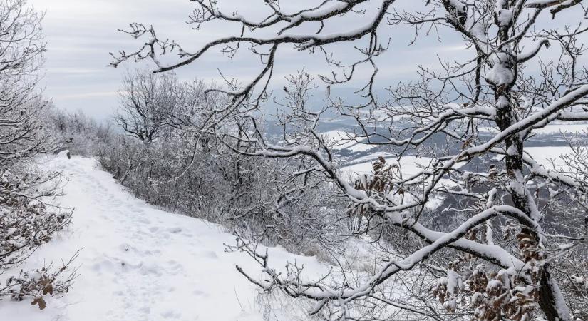 Ilyen mesés a rideg tél a magyar erdőkben – Galéria