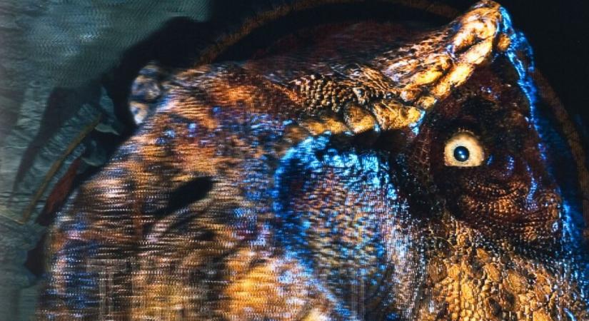 Ne maradj le róla: februárban 4K-ban tér vissza a mozikba a legendás sci-fi franchise!