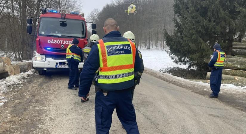 Munkabaleset áldozata lett