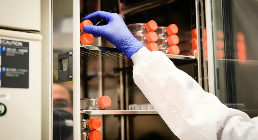 Az USA-ban nem adnak többet állami NIH-támogatást az abortuszokból származó magzati szöveteket használó kutatásokra