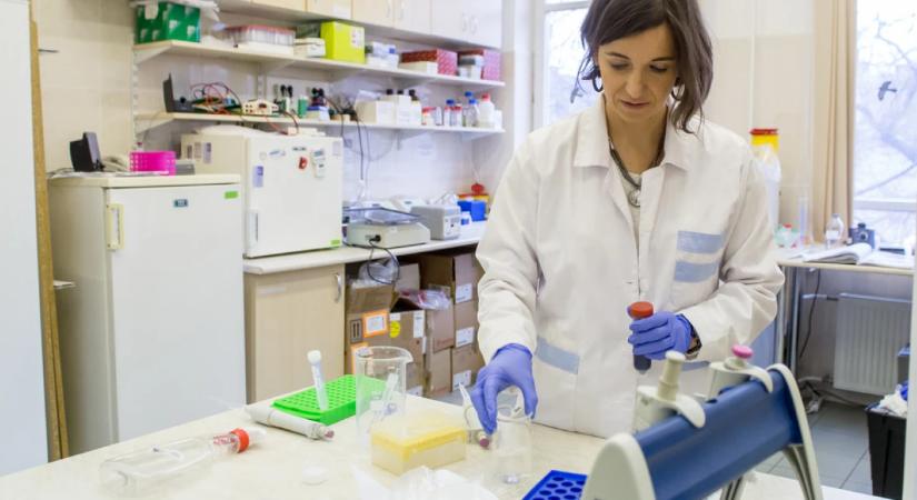 Ez a magyar egyetem a világ 186. legjobbja