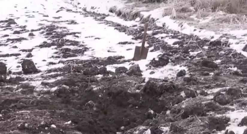 Temes megyei gyilkosság: ezrek kérnek petícióban törvénymódosítást, miután a 13 éves tettes szabadon távozhat