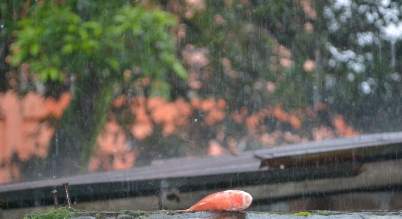 A hal- és békaeső létező jelenség: mindenről a légkör tehet