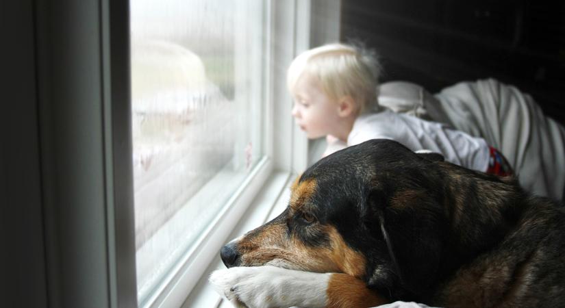 Csapadékot hoz az enyhülés