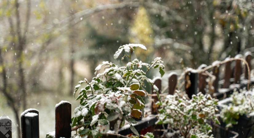 Kertek a hidegben: mit tegyünk januárban?