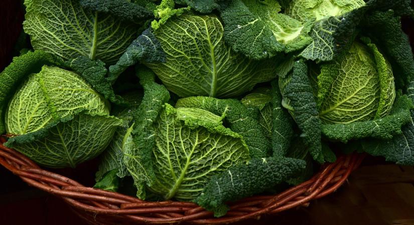 Meglepő, mit rejt a veteményes januárban: ezek a zöldségek télen is frissen szedhetők