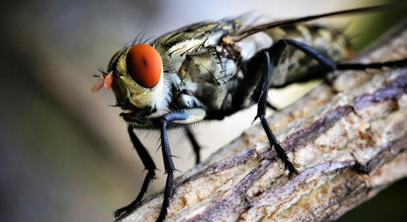 Kellemetlen mínuszok – A dermesztő hidegnek most súlyos következményei vannak