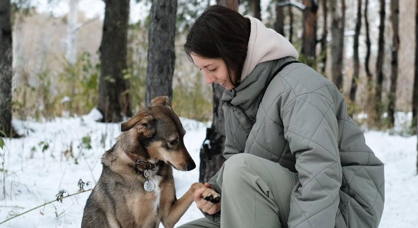 Napi horoszkóp 2026. január 24: nagyon sok örömet hoz a szombat