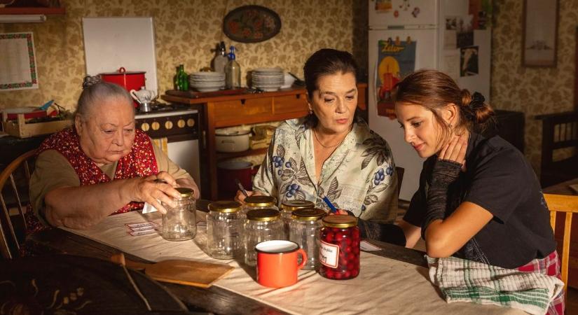 Csapó! Mehet! - Pécsre is megérkezik a dokumentumfilmek világa