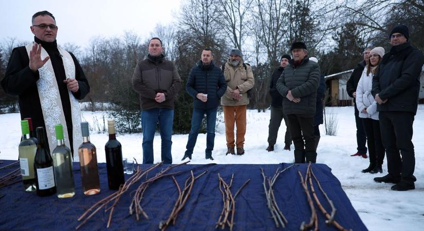 Vince-napi népszokások: a régi hagyományokat élesztették fel a majsai gazdák – fotók