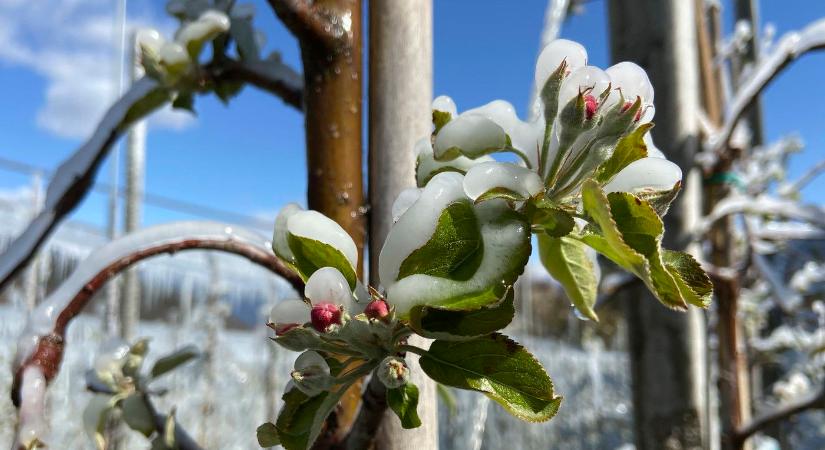 Csúszik a tavaszkezdés, hétvégén havazás lepi meg a magyarokat - Időjárás-előrejelzés