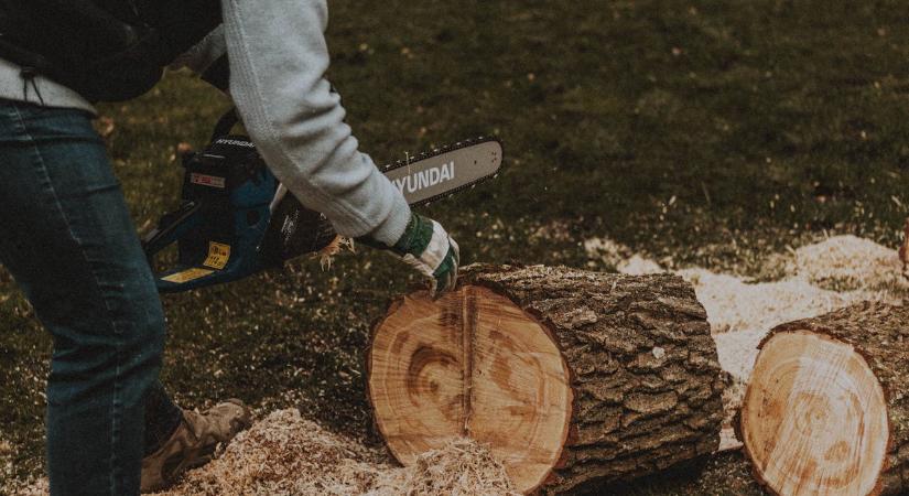 Láncfűrész választás kerti munkákhoz: teljesítmény, hossz, biztonság