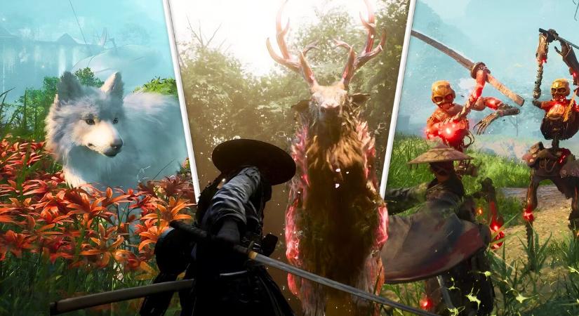 A Pokémon fejlesztője nyáron hozza a Beast of Reincarnationt