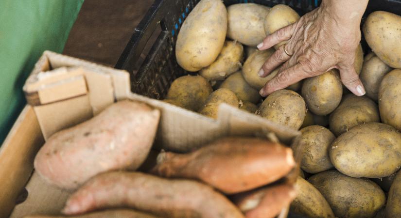 Mérgezővé válik a krumpli, ha így tárolja