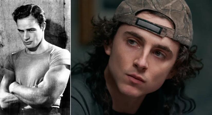 Tényleg ő az új férfi ikon? Timothée Chalamet már Marlon Brandot is lenyomta