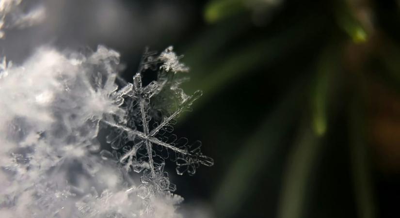 Hidegterápia és a bolygóideg: több mint divattrend