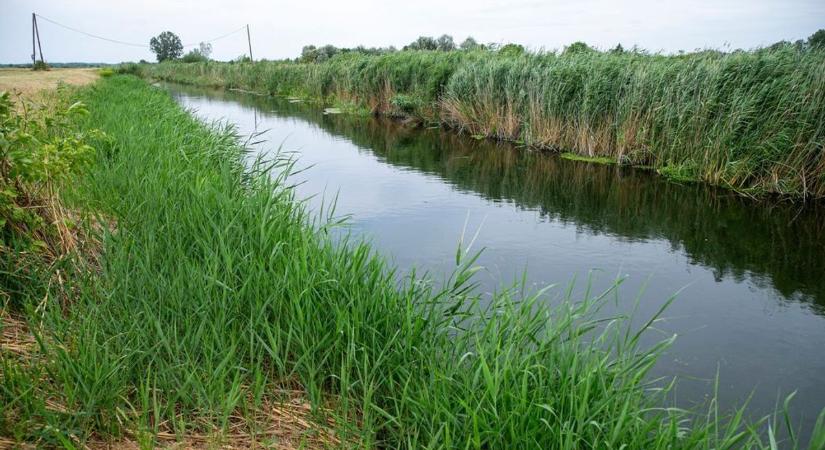 Megnyitotta a pénzcsapot a kormány: tízmilliárdok érkeznek a Homokhátság vízpótlására