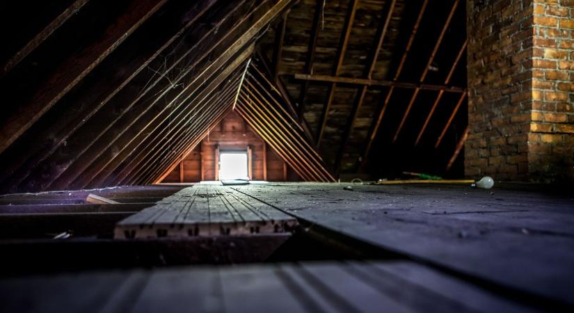 A padláson porosodik, most meg aranyat ér – a fiatalok kedvence lett ez a rertó eszköz