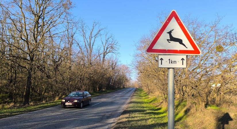Ezért több a vad az utak mentén mostanában