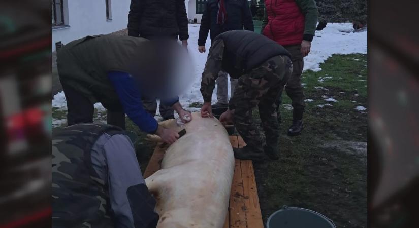 Szörnyű baleset egy disznótoron: megégett egy ötéves kisfiú!