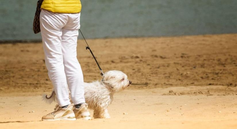 Kiszakít a magányból a közös séta – szombatra ajánlunk társaságot!